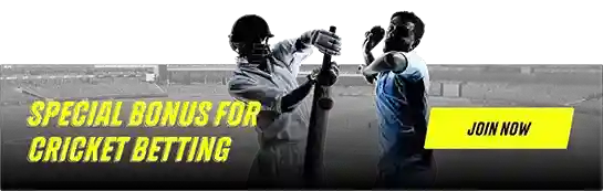 The world of cricket is filled with exciting tournaments, but a few leagues stand out as global favorites. Events like the Indian Premier League (IPL), Big Bash League (BBL), Pakistan Super League (PSL), and The Hundred offer high-quality matches, international star players, and thrilling moments that keep fans engaged throughout the season.